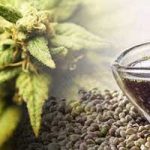 More Information About Cannabidiol Oil